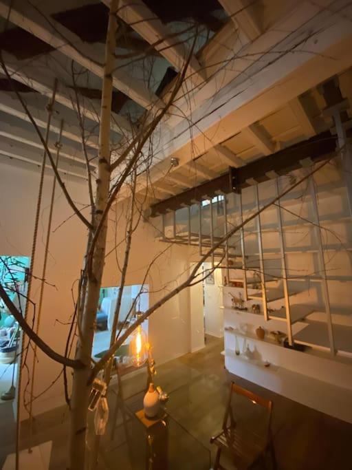 Casa Degli Alberi Apartment Turin Exterior photo