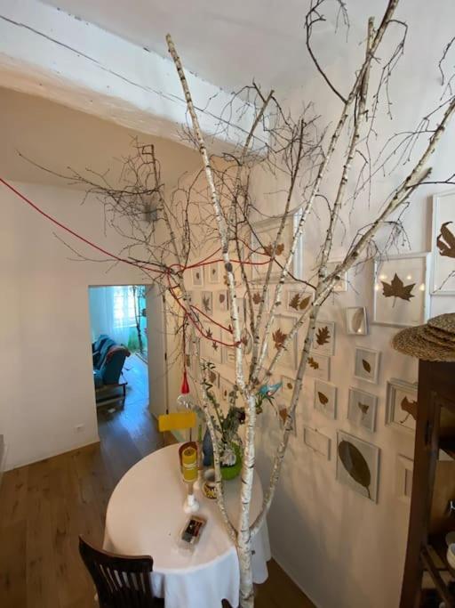 Casa Degli Alberi Apartment Turin Exterior photo
